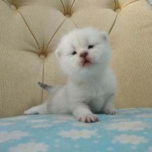 日韩性爱免费在线视频
